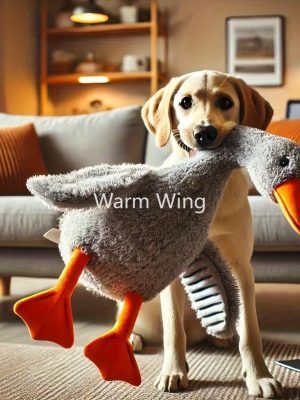 Duck toy