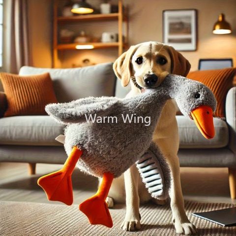 Duck toy
