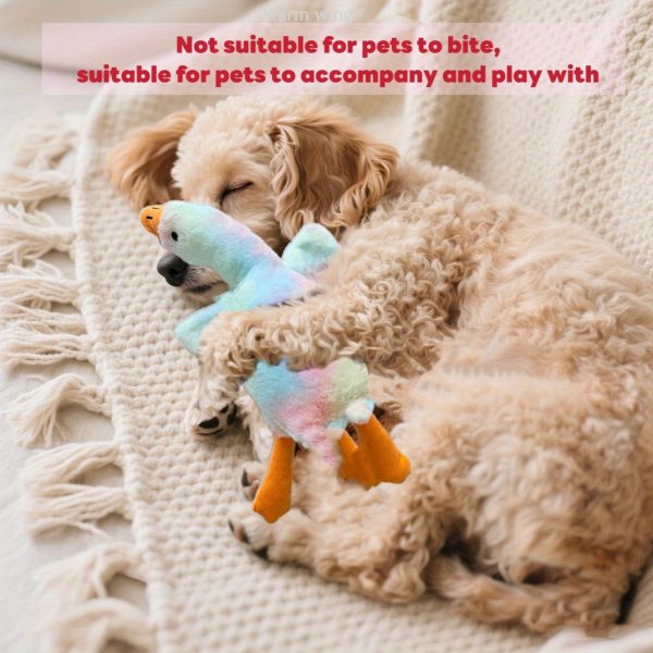 Duck toy