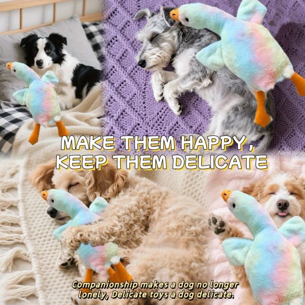 Duck toy