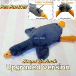 Duck toy